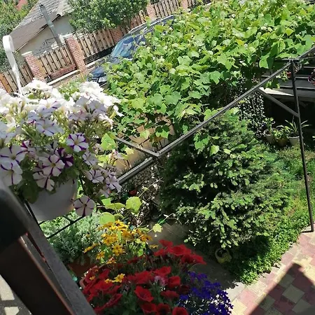 Casa Ozzy&patty 招待所 3*