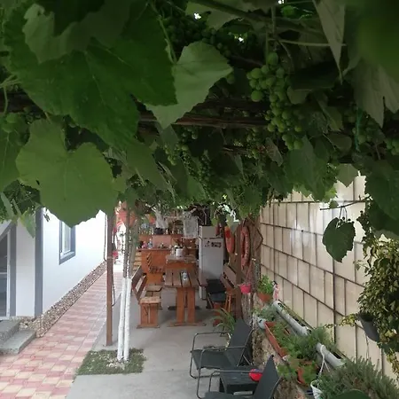 Casa Ozzy&patty Două Mai