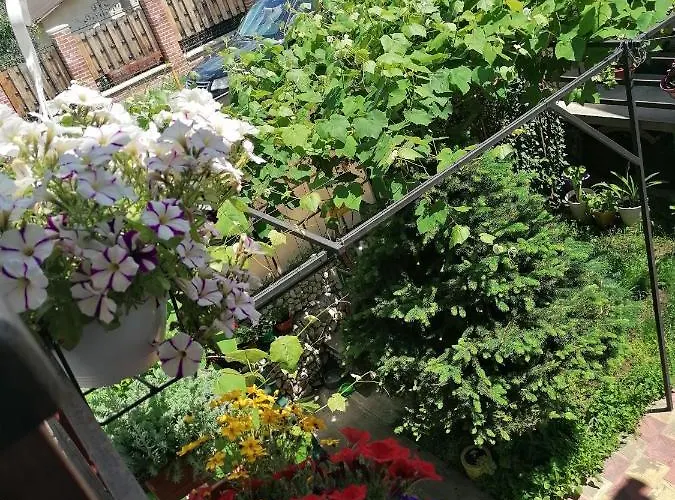 Casa Ozzy&patty Гостевой дом 3*