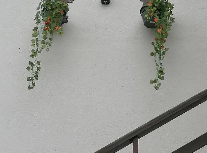 Casa Ozzy&patty Гостевой дом