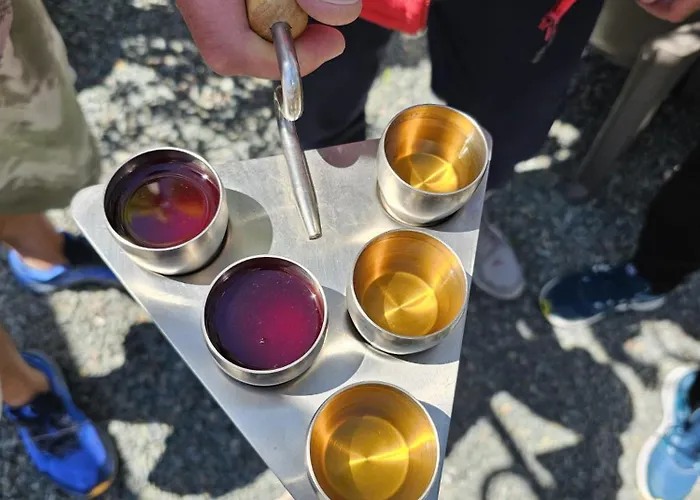 Casa Ozzy&patty Гостевой дом 3*